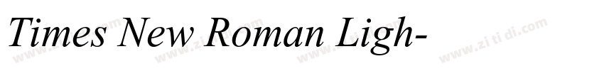 Times New Roman Ligh字体转换 Times New Roman Ligh字体转换